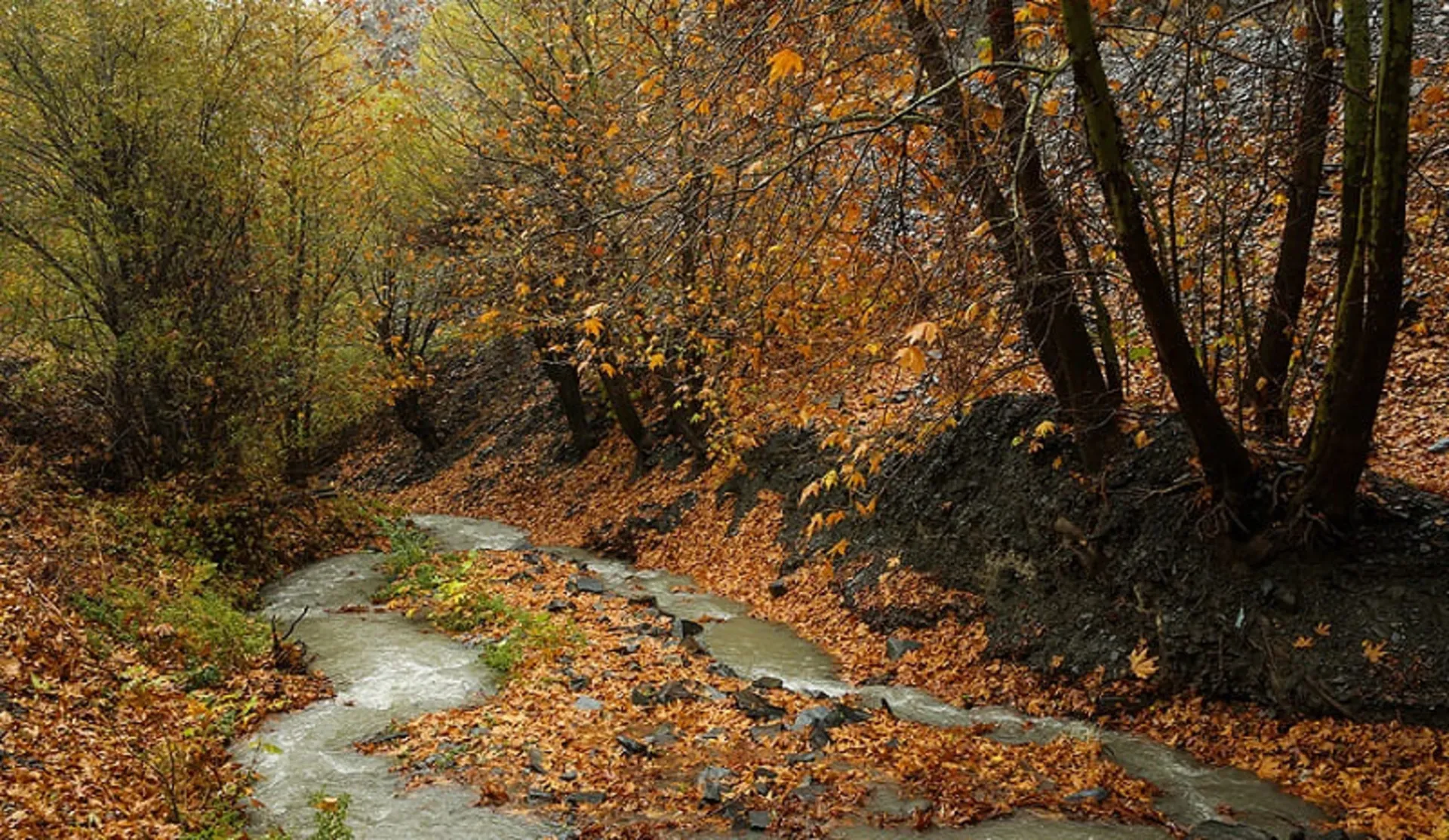 جاذبه های گردشگری مشهد