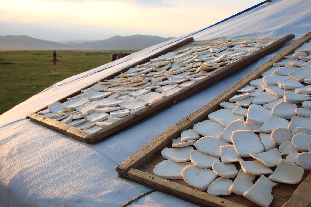 اقامت در یورت مغولستان