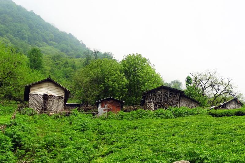 چهار فصل در دامنه سبلان