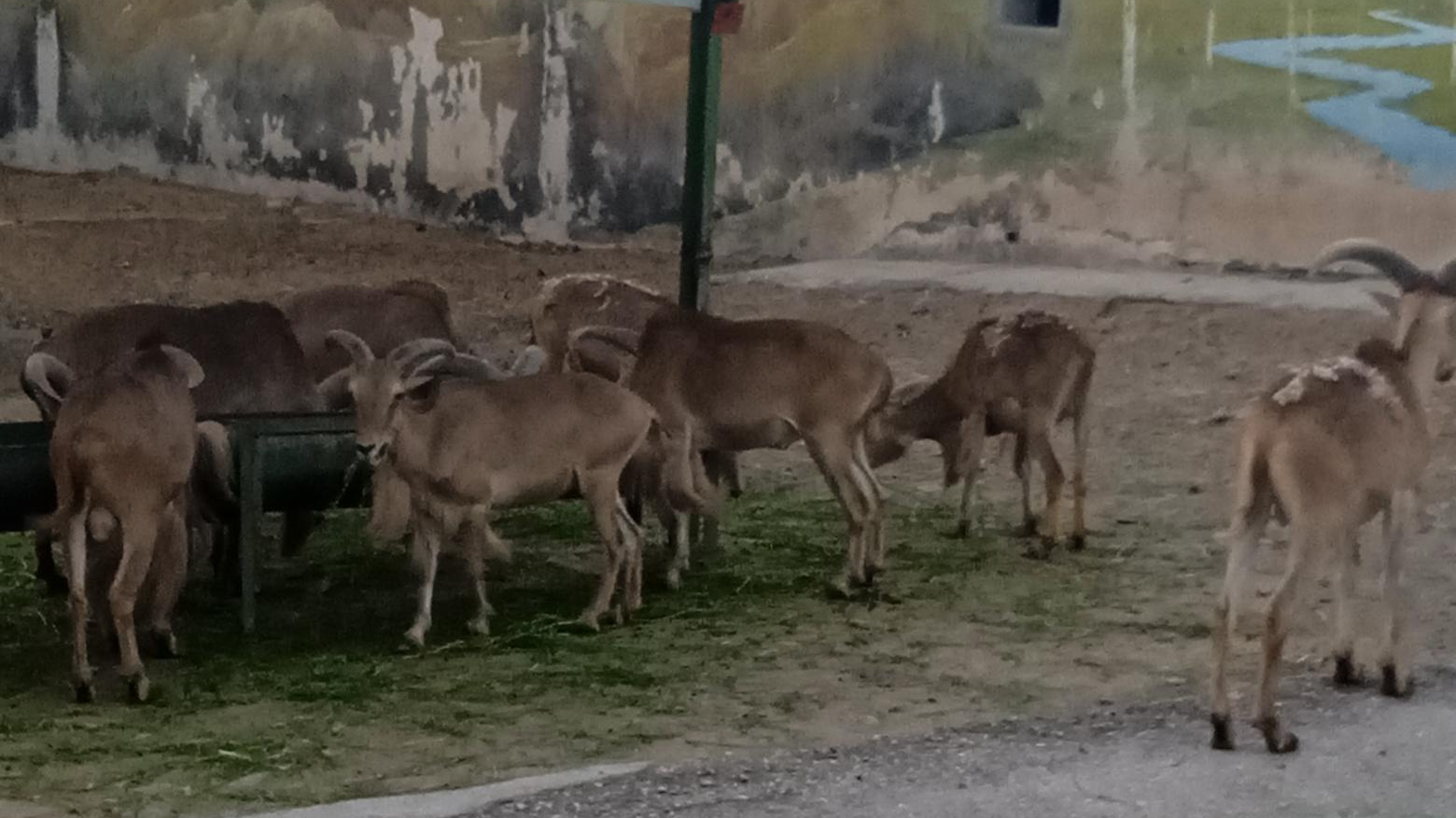 جاذبه های گردشگری مشهد