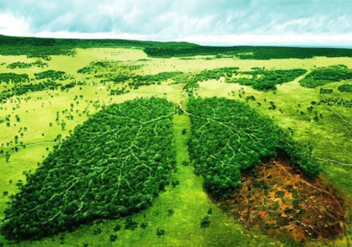 گردشگری روستایی و بومی