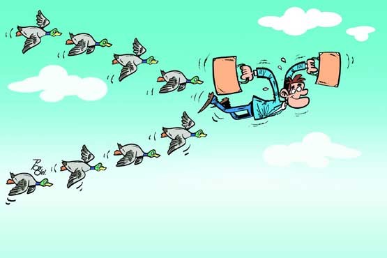 مهاجرت،فرصت یا چالش؟