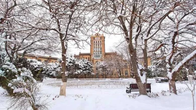 بهترین شهرهای ایران برای سفر زمستانی؛ مقاصد گرم و برفی