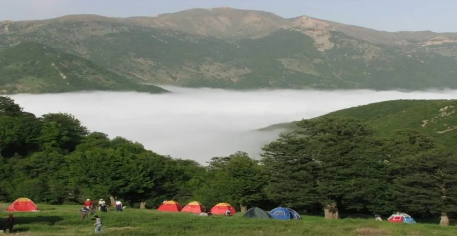 راهنمای سفر به جنگل ابر شاهرود سمنان و کمپینگ در مه