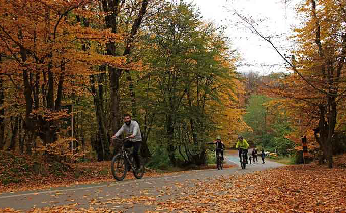 پاییز در النگدره