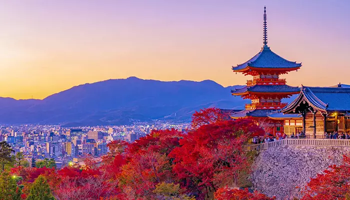 مقاصد شگفتانگیز جهان