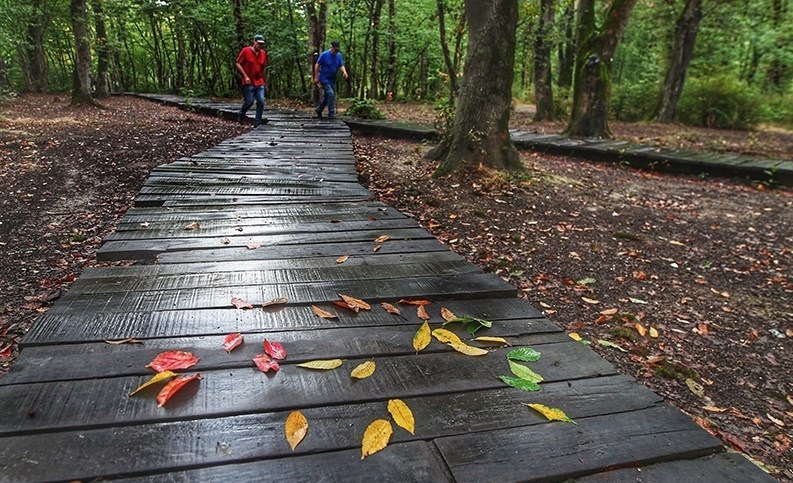 پاییز در النگدره