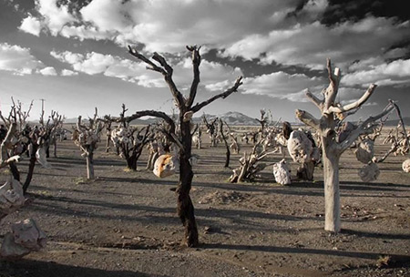 حقایقی جذاب درباره ایران