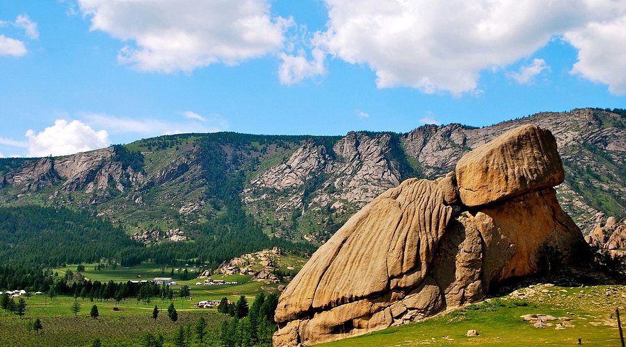 اقامت در یورت مغولستان