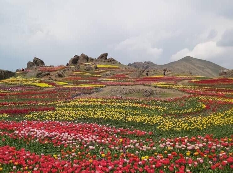 زیباترین مقصدهای ایران در فصل بهار برای سفر