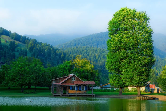 دریاچه قو رامسر