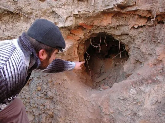 تورهای باستان شناسی ایران