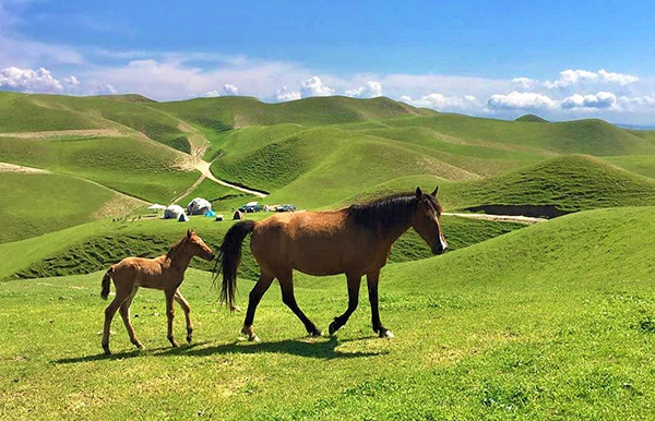 جاهای دیدنی گرگان