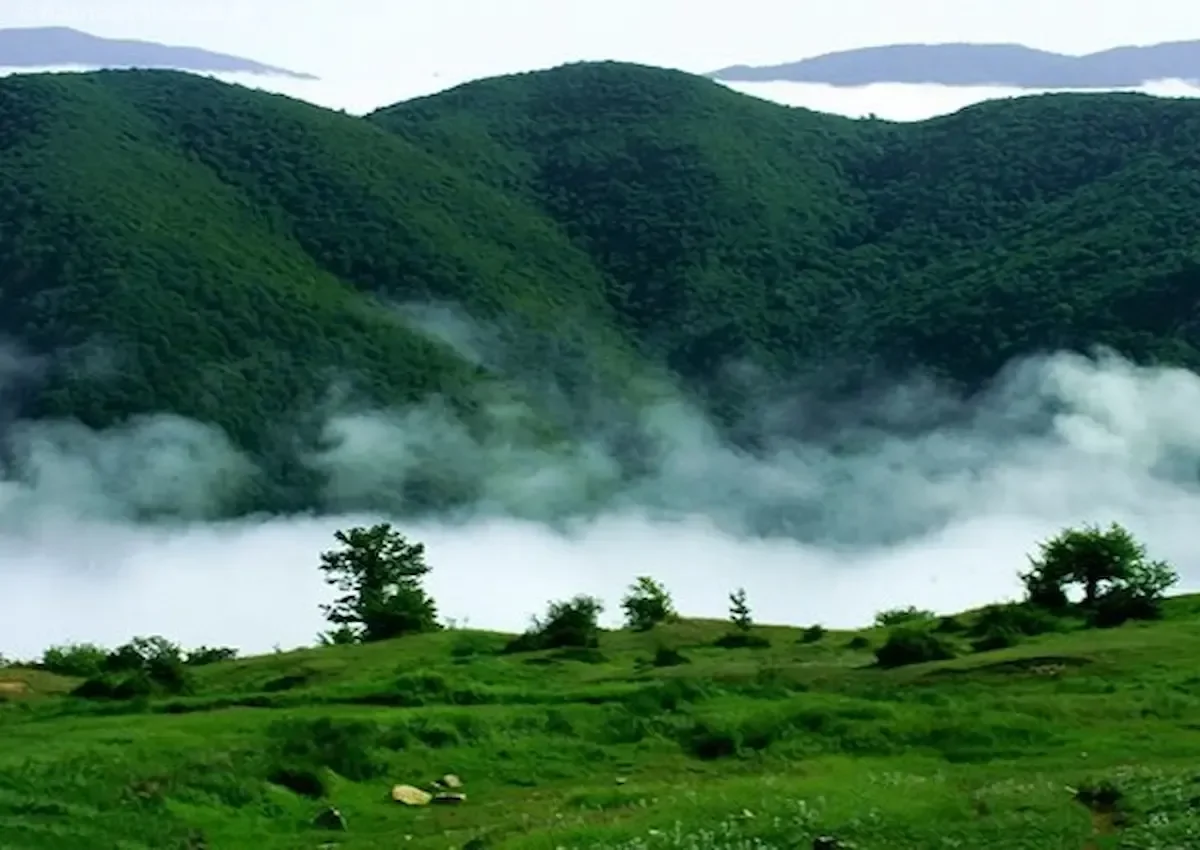 یوگا و مدیتیشن در طبیعت بکر ایران