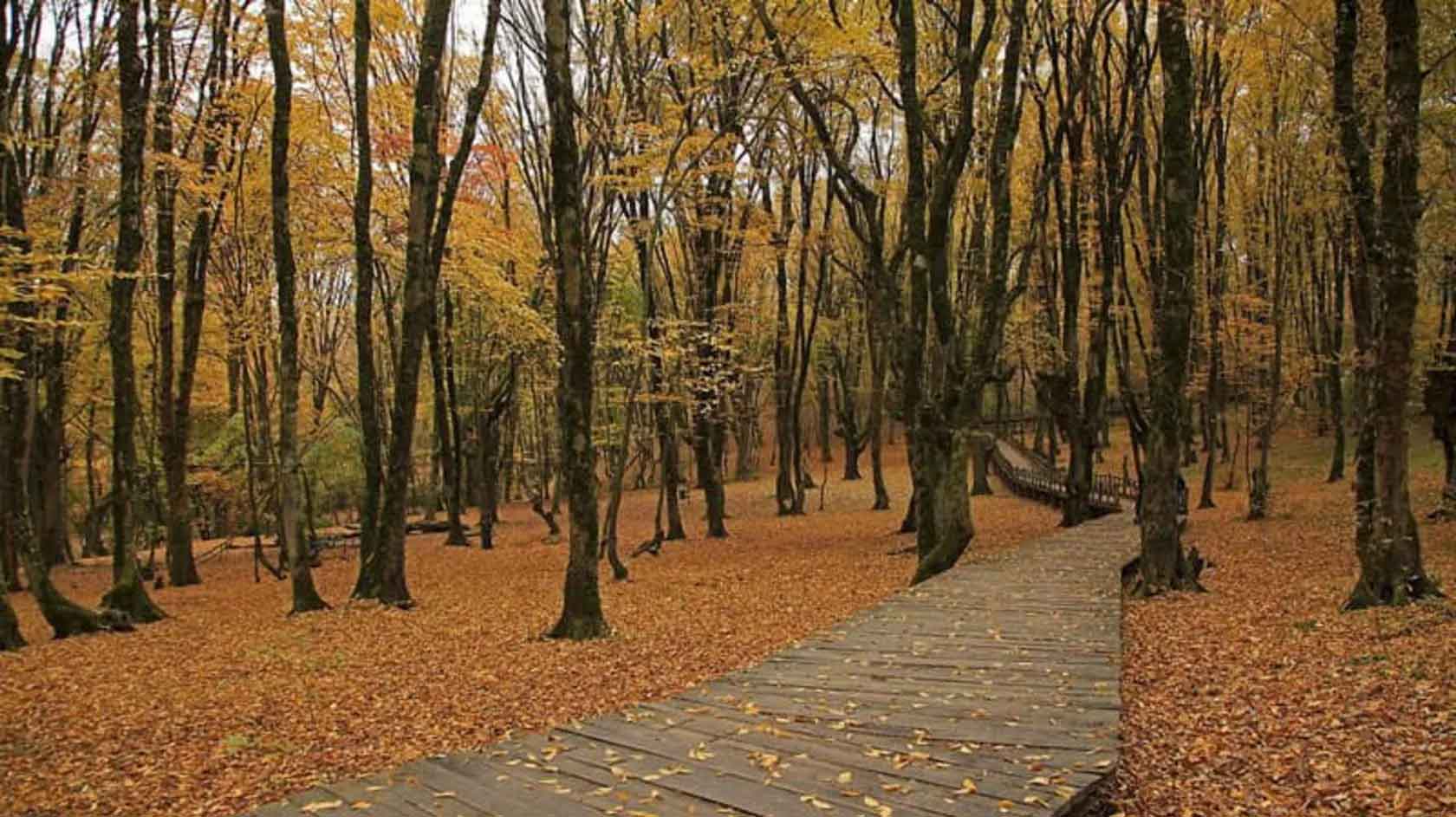 پاییز در النگدره