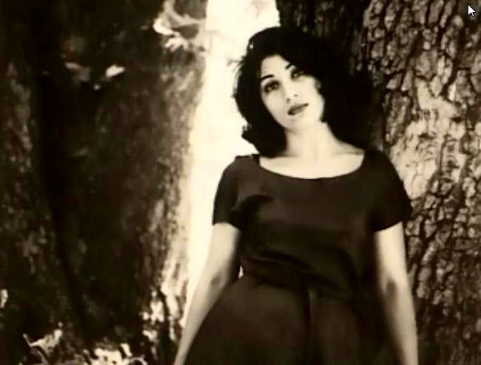 زنان تاریخساز ایران