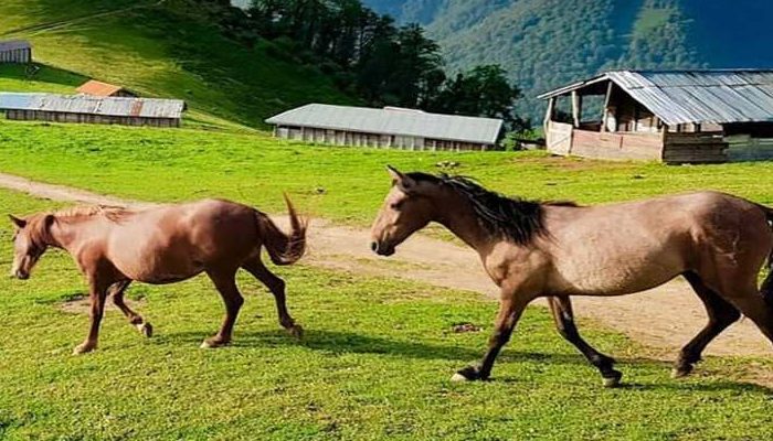 مناطق کوهستانی برای کمپینگ تابستانی