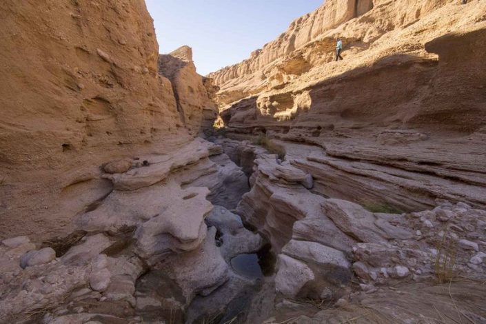کال جنی طبس