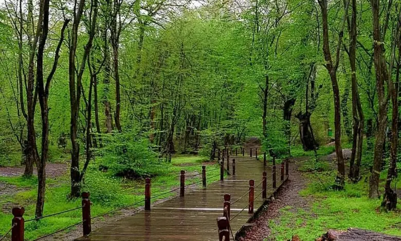 جاهای دیدنی گرگان